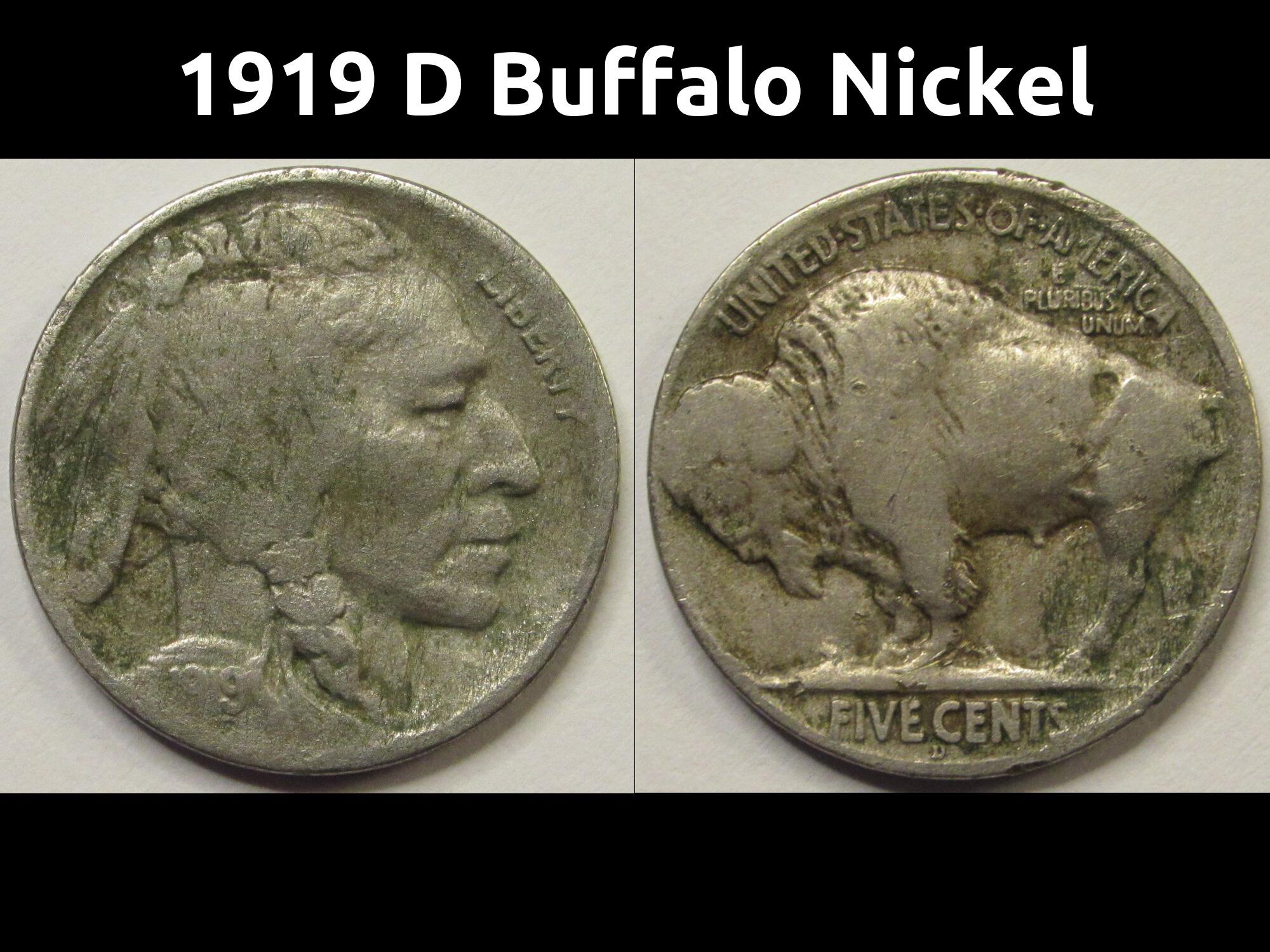 アメリカ バッファローニッケル　(インディアン 5セント) 1,000枚 バッファロー ニッケル: アメリカの貨幣の歴史を巡る旅