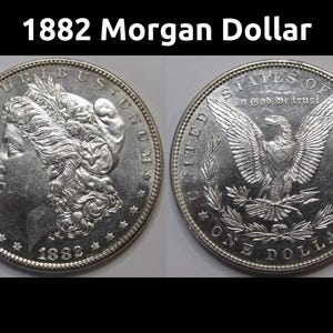 1882 morgan dollar - Etsy 日本