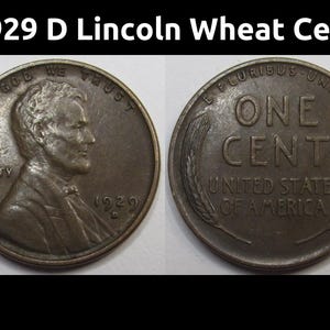 1929 D Lincoln Wheat Cent - antique higher grade Denver mintmark American wheat penny