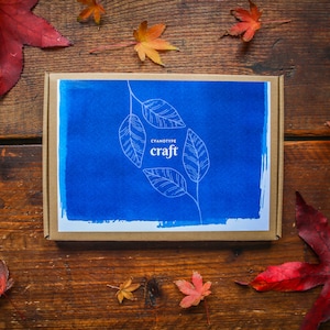 Cyanotype Craft Kit FREE POSTAGE A6 paper DIY sun printing, botanical, blue printing, art kit, eco friendly, gift idea image 2