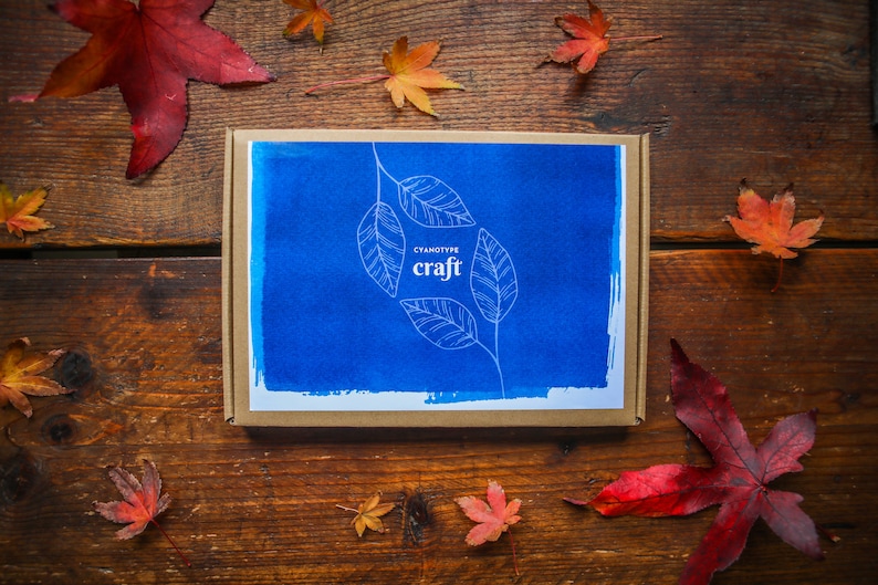 Cyanotype Craft Kit FREE POSTAGE A6 paper DIY sun printing, botanical, blue printing, art kit, eco friendly, gift idea image 2