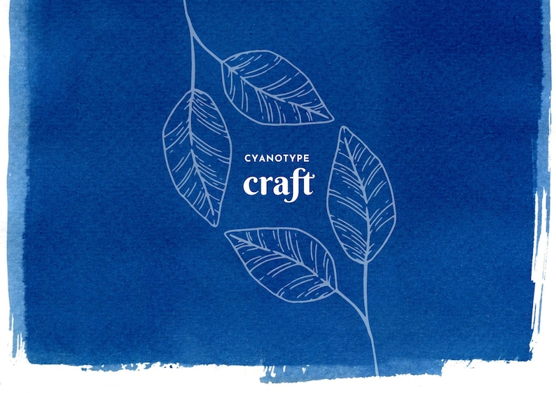 Cyanotype Craft Kit FREE POSTAGE A6 paper DIY sun printing, botanical, blue printing, art kit, eco friendly, gift idea image 10