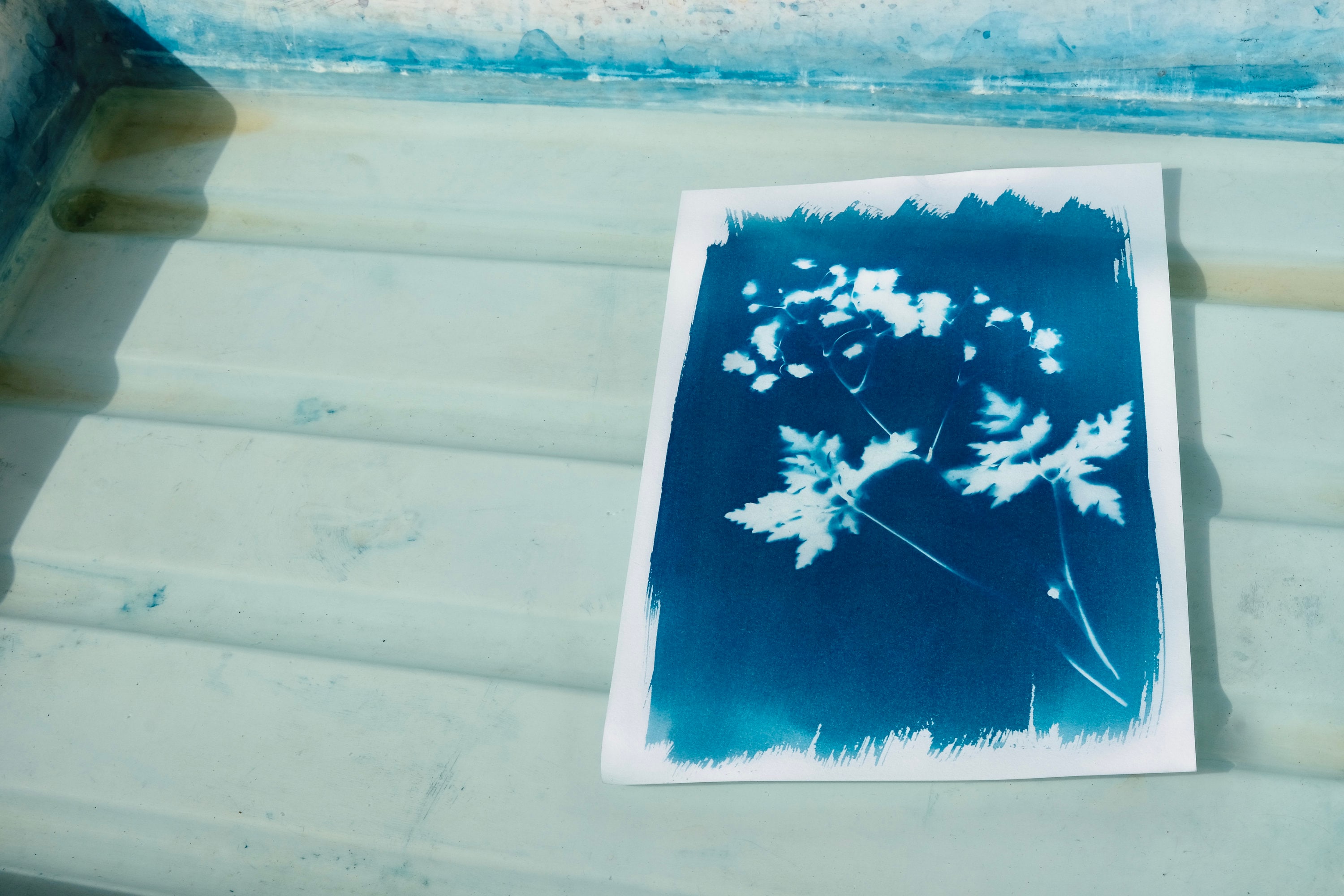 the-full-cyanotype-kit-free-postage-diy-sun-printing-blue-etsy-uk