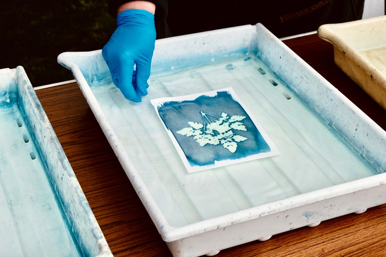 The Full Cyanotype Kit FREE POSTAGE DIY sun printing, blue printing, solar printing, art kit, botanical print , photography kit image 8