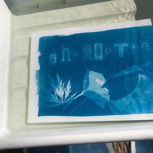 Cyanotype Craft Kit FREE POSTAGE A6 paper DIY sun printing, botanical, blue printing, art kit, eco friendly, gift idea image 8