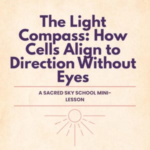 May include: A beige background with the text "The Light Compass: How Cells Align to Direction Without Eyes" in dark purple. Below, it reads "A SACRED SKY SCHOOL MINI-LESSON". A sunburst graphic is at the bottom.