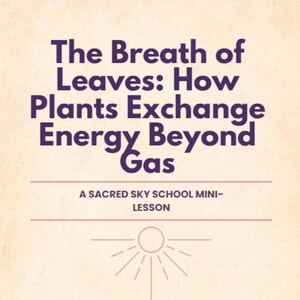 May include: A beige background with purple text that reads "The Breath of Leaves: How Plants Exchange Energy Beyond Gas." Below the text is "A SACRED SKY SCHOOL MINI-LESSON."