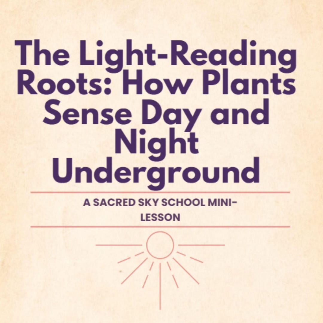 Mini Lesson 274 — the Light-reading Roots: How Plants Sense Day and ...