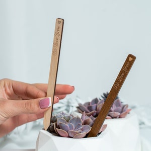 Etichette personalizzate per bomboniere, bomboniere in legno succulento, bomboniere con piante