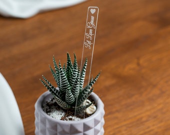 Personalized Wedding Clear Acrylic Plant Favor Tags, Custom Baby Shower Succulent Favors
