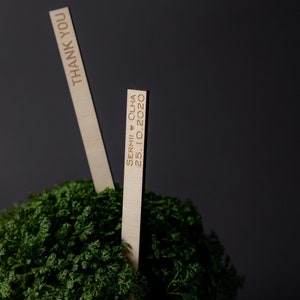 Etiquetas de lembrancinhas de casamento personalizadas, Etiquetas de lembrancinhas suculentas para plantas para casamento