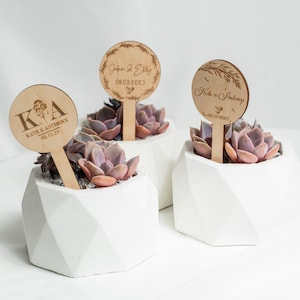 Op de afbeelding: Drie vetplanten in witte geometrische potten. Elke plant heeft een houten bord met gegraveerde tekst, inclusief namen en data. De vetplanten hebben paarse en groene bladeren. De borden zijn rond met een stok.
