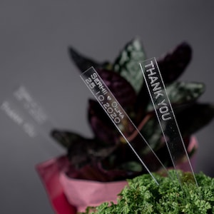 Etiquetas de acrílico transparente para lembrancinhas de casamento para suculentas, Estacas personalizadas para lembrancinhas de suculentas, Etiquetas personalizadas para plantas, Etiquetas para lembrancinhas de casamento
