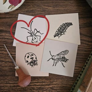 Linocut Insect (Assassin Bug)
