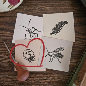 Linocut Insect (Ladybug)