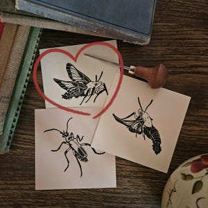 Linocut Insect (Hummingbird Moth 1)