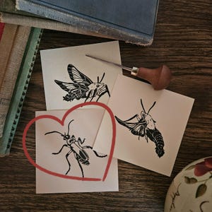 Linocut Insect (Soldier Beetle)