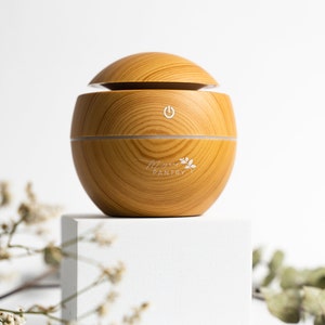 Room Diffuser Humidifier Plant Humidifier Essential Oil Diffuser Room Humidifier Gift Accessory image 1