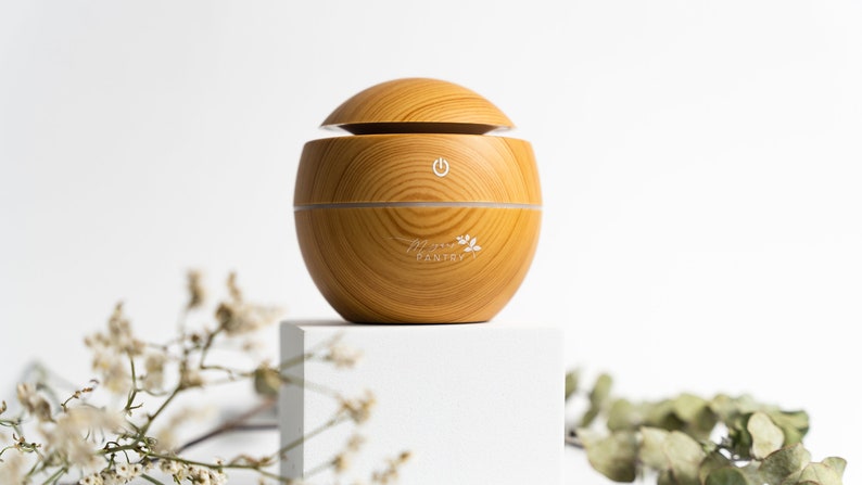 Room Diffuser Humidifier Plant Humidifier Essential Oil Diffuser Room Humidifier Gift Accessory image 1