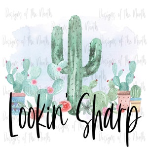 Puede incluir: Ilustración de acuarela de un cactus con el texto "Lookin' Sharp" en negro. El cactus es verde y tiene flores rosas. Hay cactus más pequeños alrededor del cactus principal.
