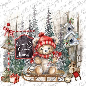 Sublimation de Noël-candy cane lane png-Noël ours en peluche sublimation-Noël ours en peluche png-Noël ours en peluche imprimable-teddy png