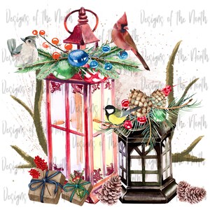 sublimation design-png-waterslide-christmas design-design download-t-shirt design-digital-digital download-lantern sublimation-winter birds