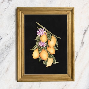 Moody Lemon Art Print, Unframed Print, Oil Print Still Life Original, Small Still Life Painting Print, Lemon Art Print, Fruit Art Print