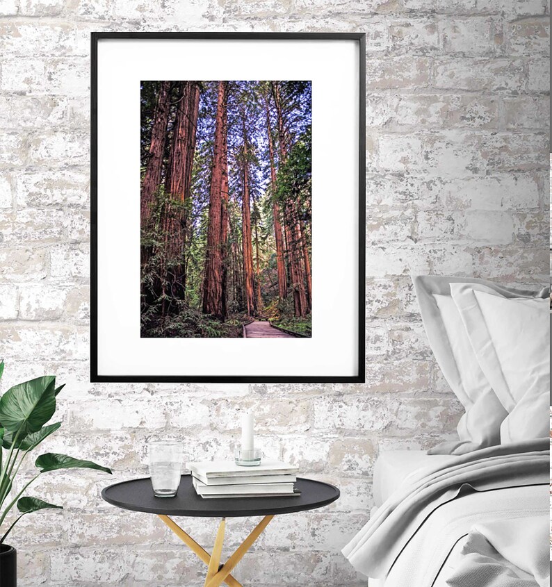 Printable California Redwoods Wall Art Rustic Decor Muir Etsy