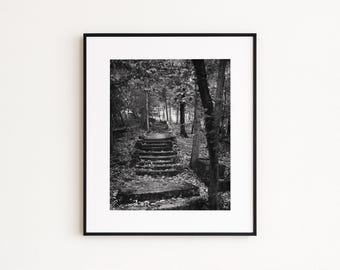 Walk Through The Trees, Boho Minimalist Forest Wall Art,  Nature Photography, Modern Zen Home Decor Gift