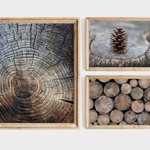 Wood Log Pile Prints Set of 3, Farmhouse Wall Art, Tree Ring Rustic Art, Country Cabin Decor Printable