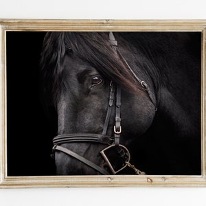 Black Horse Wall Art, Farmhouse Print, Dark Moody Photography Printable, Country, Western Decor