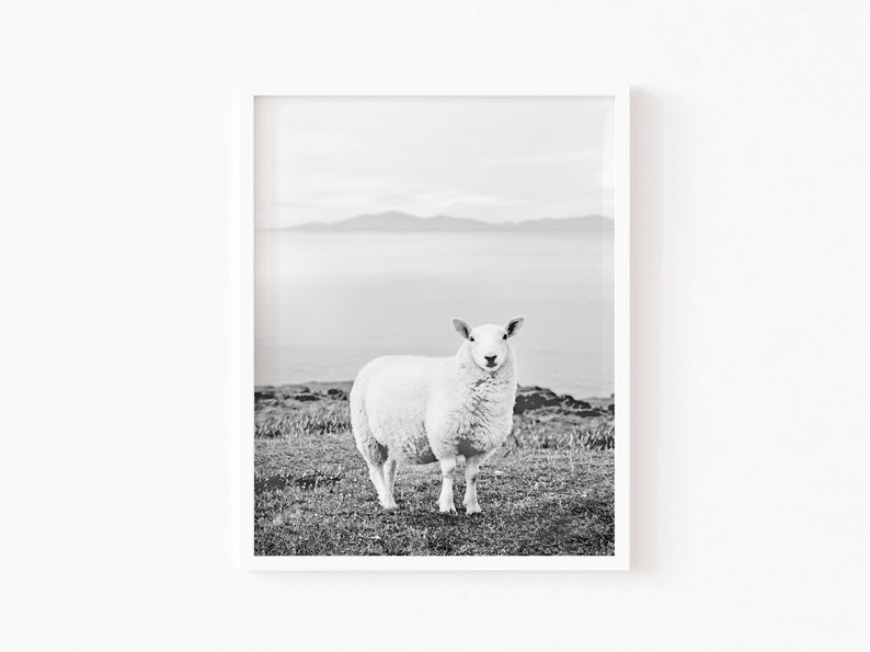 Sheep Print Farm Animal Lamb Wall Art Nursery Wall Decor Etsy