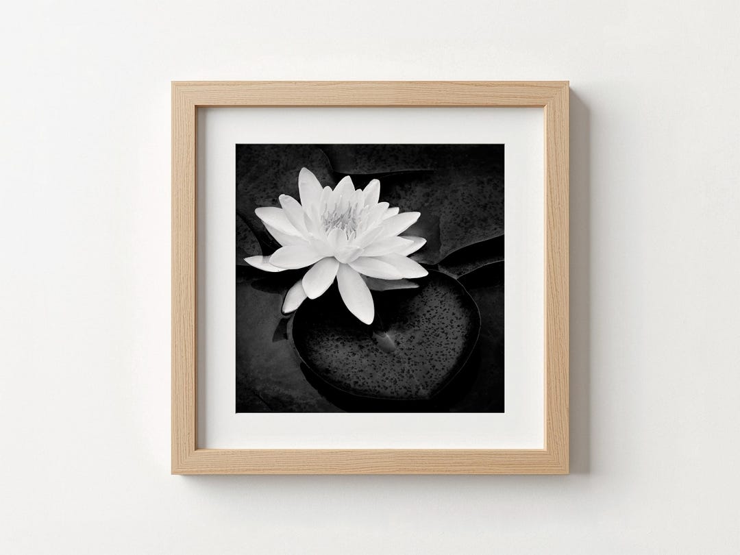 Minimalist Lotus Flower Art Print | Japandi Zen Wall Decor (black ...