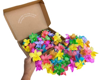 100 orquídeas frescas y perecederas de Pascua, flores sueltas para decorar alimentos y bebidas.