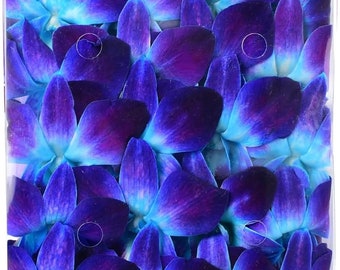 Orquídea fresca azul 50 flores sueltas para decoración de alimentos y bebidas