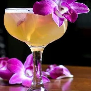 Puede incluir: Un c&oacute;ctel en una copa con tallo, adornado con una vibrante orqu&iacute;dea p&uacute;rpura. La bebida tiene un tono dorado y la copa se encuentra sobre una superficie de madera. P&eacute;talos de orqu&iacute;dea dispersos completan la presentaci&oacute;n.