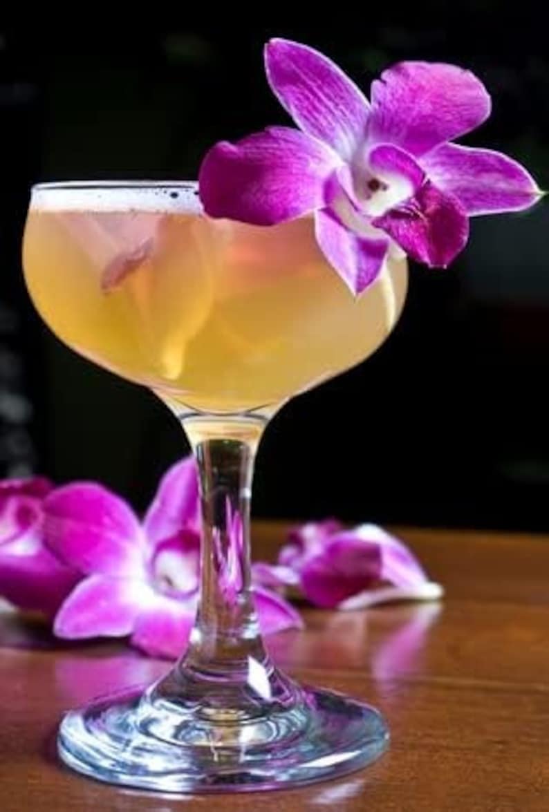 Puede incluir: Un c&oacute;ctel en una copa con tallo, adornado con una vibrante orqu&iacute;dea p&uacute;rpura. La bebida tiene un tono dorado y la copa se encuentra sobre una superficie de madera. P&eacute;talos de orqu&iacute;dea dispersos completan la presentaci&oacute;n.