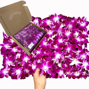 100 Purple Fresh Perishable orchid loose bloom for food and drink decoration