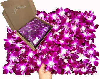 Purple 100 Fresh orchid loose bloom for food and drink decoration