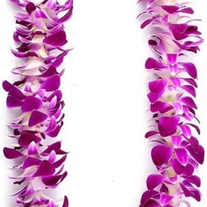 Puede incluir: Un vibrante lei hecho de orqu&iacute;deas moradas y blancas. Las flores est&aacute;n dispuestas en una hebra continua, creando una forma circular. El lei se presenta sobre un fondo blanco liso, resaltando los colores y detalles de las flores.