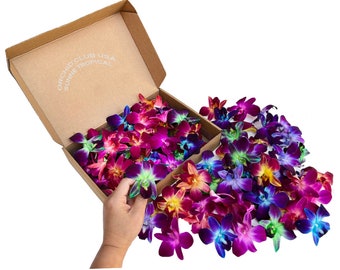 100 orquídeas perecederas frescas de arcoíris en flor suelta para decoración de alimentos y bebidas