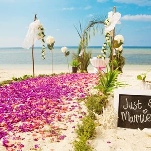 Puede incluir: Escena de boda en la playa con un camino de p&eacute;talos de flores rosas que conduce a un arco floral. Un letrero de pizarra con "Just Married" est&aacute; en la arena. El mar y el cielo forman el tel&oacute;n de fondo.