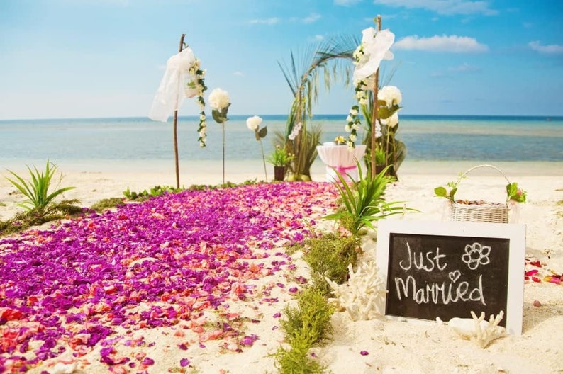 Puede incluir: Escena de boda en la playa con un camino de p&eacute;talos de flores rosas que conduce a un arco floral. Un letrero de pizarra con "Just Married" est&aacute; en la arena. El mar y el cielo forman el tel&oacute;n de fondo.