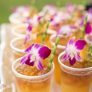 Puede incluir: Primer plano de varios vasos de pl&aacute;stico transparente llenos de una bebida de color &aacute;mbar claro. Cada vaso est&aacute; adornado con una vibrante orqu&iacute;dea morada y blanca y una pajita verde con forma de bamb&uacute;. Las bebidas est&aacute;n dispuestas sobre una bandeja blanca.