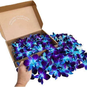 100 Blue Fresh Flowers Perishable orchid loose bloom for food and drink decoration