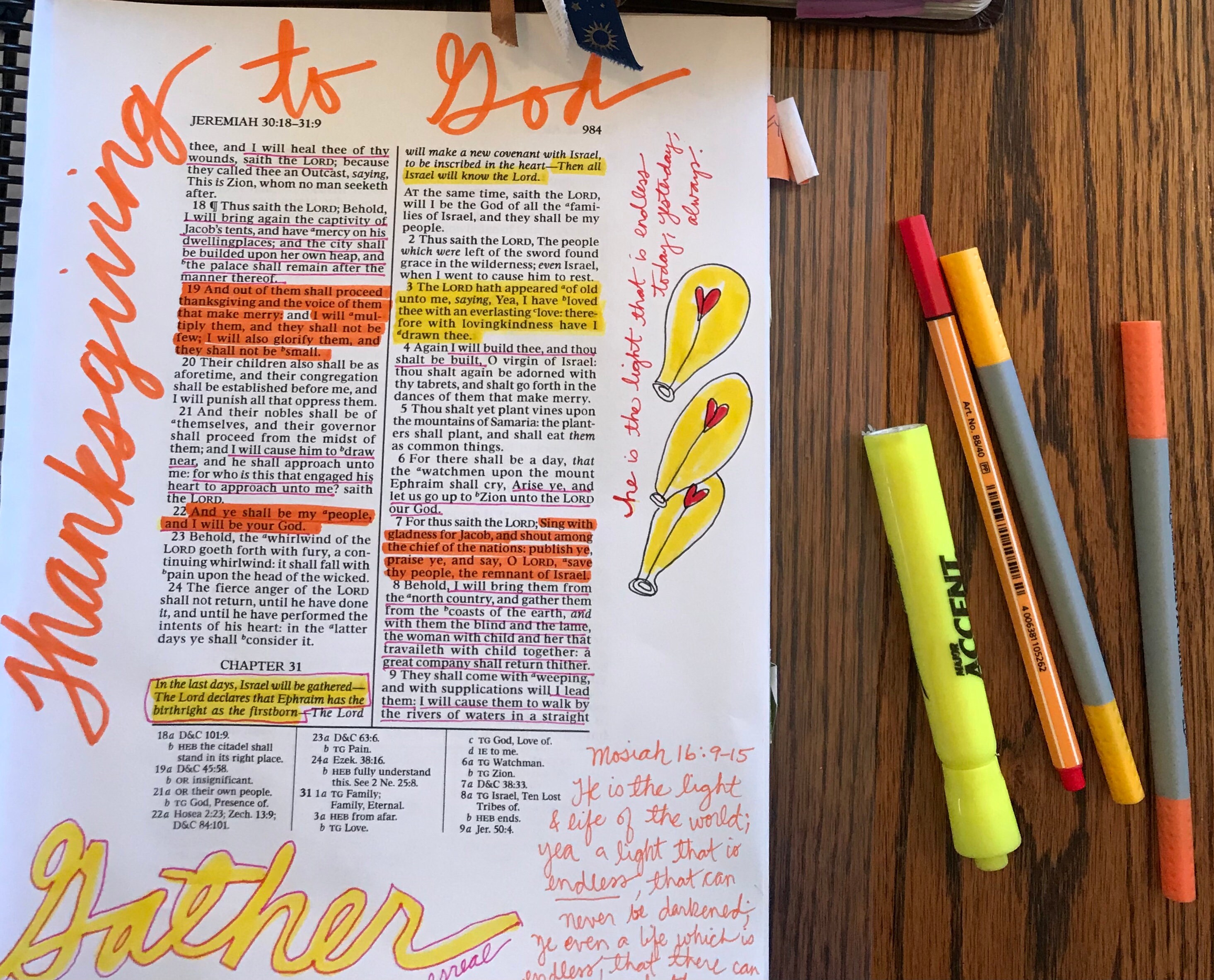 Vol. 1 & 2 Old Testament Wide Margin Spiral Bound Scriptures KJV With