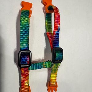Könnte beinhalten: Ein Haustiergeschirr mit Batikmuster, orangefarbenen Kunststoffschnallen und schwarzen Kunststoffverstellern. Das Geschirr besteht aus einem farbenfrohen, gewebten Stoff mit einem Regenbogen aus Farben.