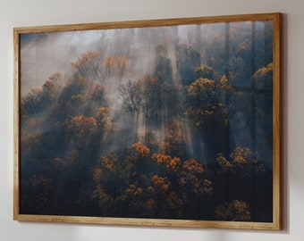 Foggy Forest Print - Autumn Nature Print - Forest Landscape Photography - Trees Mountain Posters - Printable Wall Art Digital Download Decor