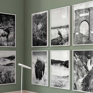 Yellowstone National Park USA Minimalist Set of 8 Prints – Black and White Photo 8 Piece Wall Art – Travel Instant Download Gallery Posters