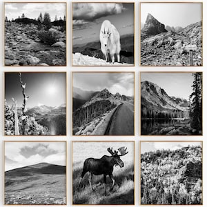 Conjunto minimalista de 9 impresiones cuadradas del Parque Nacional de las Montañas Rocosas de Colorado: galería de arte de pared de 9 piezas con fotos en blanco y negro y descarga instantánea